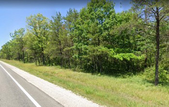 State of Michigan land for sale auction